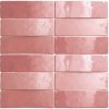 artisan rose mallow 6,5x20