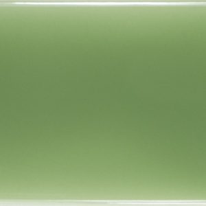 061485406g_front-b