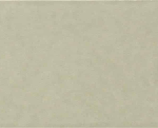 073067007_front-a