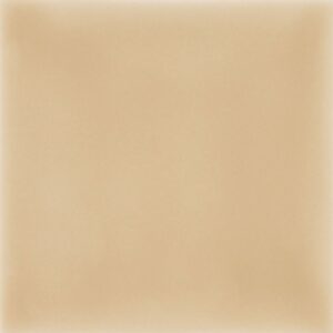 Camelo B5510 Glossy 14×14