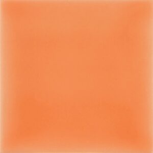 Salmao B6300 Glossy 14×14