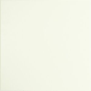 Bianco Assoluto 20x20