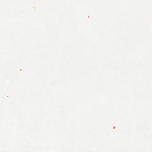 Zellige White Glossy 12,5×12,5cm Zellige White Glossy 12,5x12,5cm