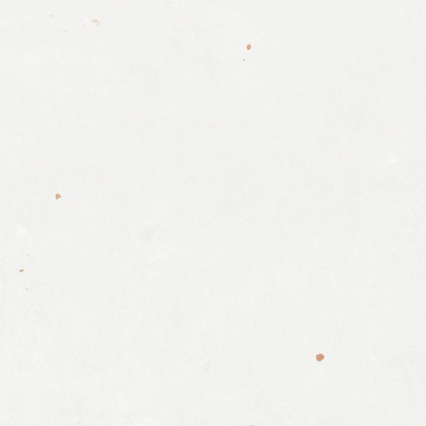 zellige_white_ny1