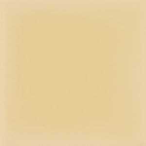 Papiro B6010 Glossy 14×14
