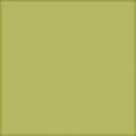 ArchiColour Bregnegrøn Blank 15x15