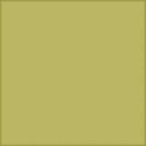 ArchiColour Bregnegrøn Blank 15×15 2