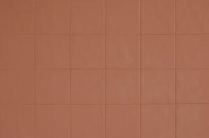 Chromatica Koral 13×13
