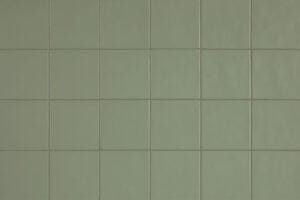 Chromatica Salvie Grøn 13×13