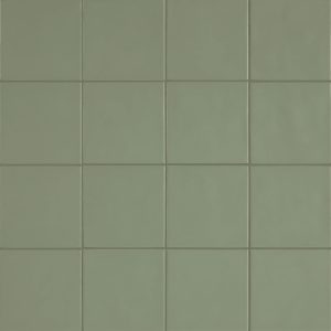 Chromatica Salvie Grøn 13×13