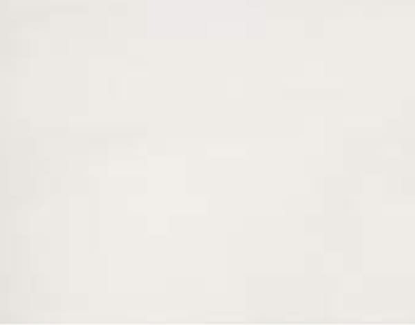 Laque-Beige_20x50