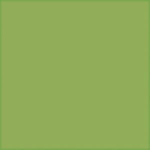 ArchiColour Pistacie Blank 15×15 2