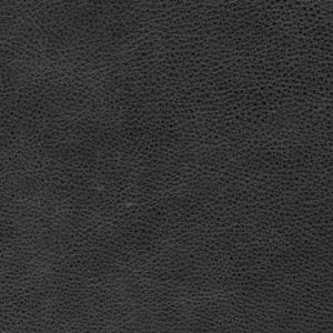 devotion_coco_single-1_30x90