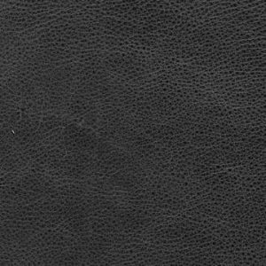 devotion_coco_single-2_30x90