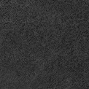devotion_coco_single-3_30x90