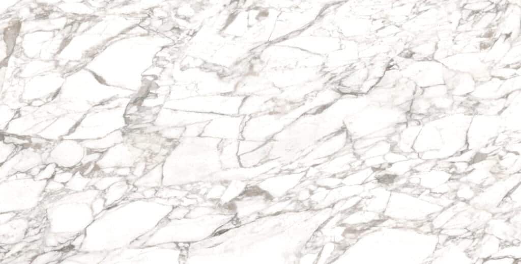 Marmoker Calacatta Extra Poleret 120x278