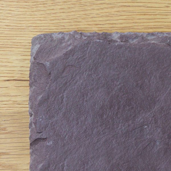 FAO83_closeup