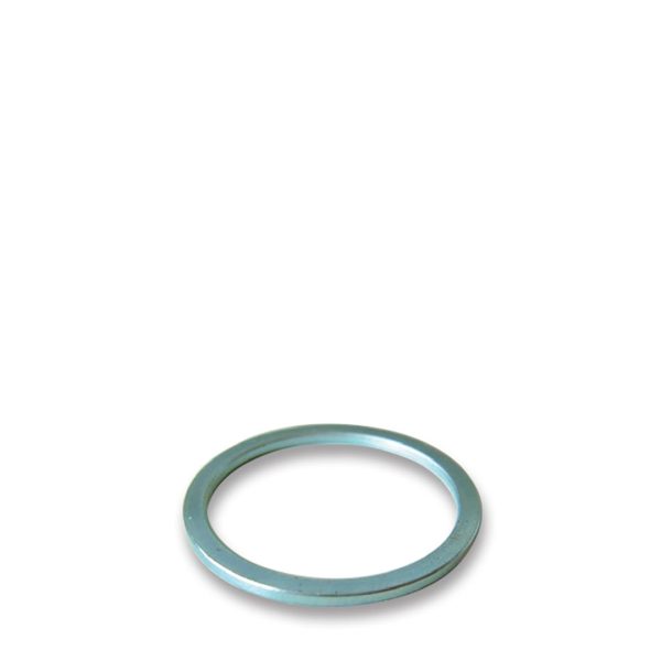 SIG1073_Ring-til-diamantskive