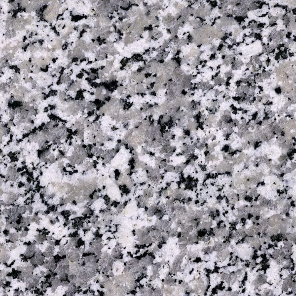 bianco_sardo