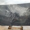 black tempest