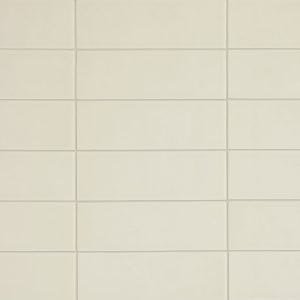 chromatica champagne 9x26 1