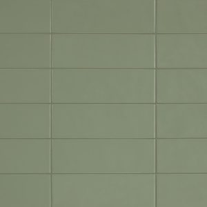 Chromatica Salvie Grøn 9×26 Chromatica Salvie Grøn 9×26 2