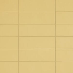 chromatica tempeltrae 9x26 1