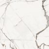 marmora_lunense_60x60_single1_vein-touch