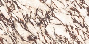 Marmora Pavonazzetto Lucido 60x120x0.9
