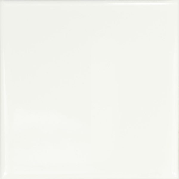 10101609_front-a