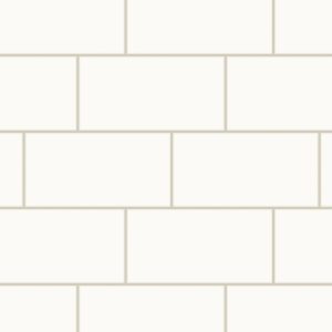 ArchiColour Hvid Mat 10x20