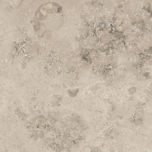 Jurassic Greige 15×15 59