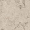 Jurassic-Greige_15x15_single2