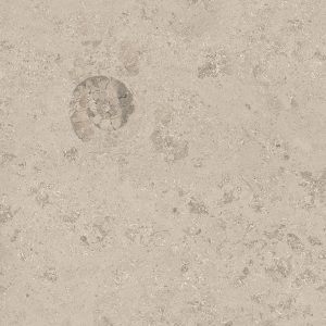Jurassic Greige 30×30 2