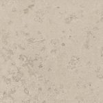 Jurassic Greige 30x60