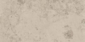Jurassic Greige 30×60 2