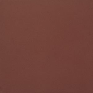 Rosso Mattone 20×20