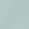mini-mint_20x50_single1