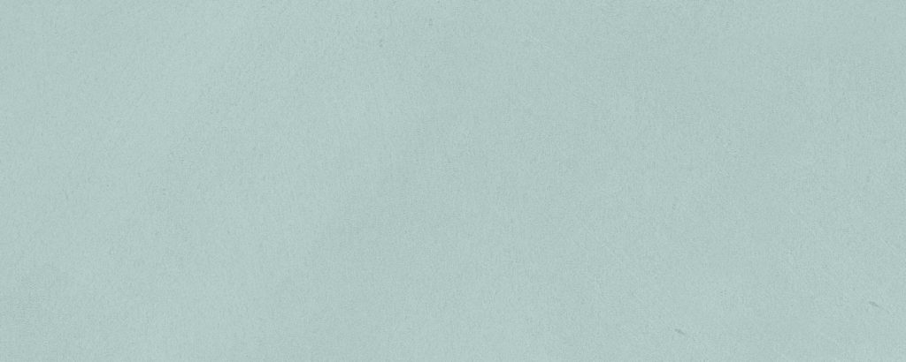 Mini Mint 20x50cm
