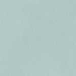 Mini Mint 20x50cm 4