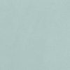mini-mint_20x50_single2