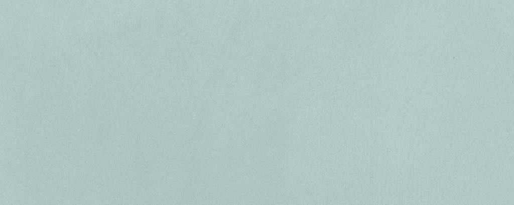 Mini Mint 20x50cm