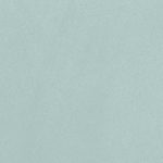 Mini Mint 20x50cm 3