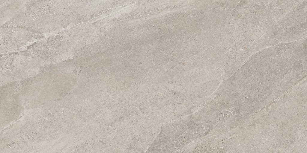 Nordic Slate Grey 60x120