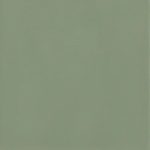 Chromatica Salvie Grøn 13x13