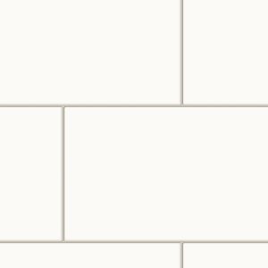 ArchiColour Hvid Mat 20x40