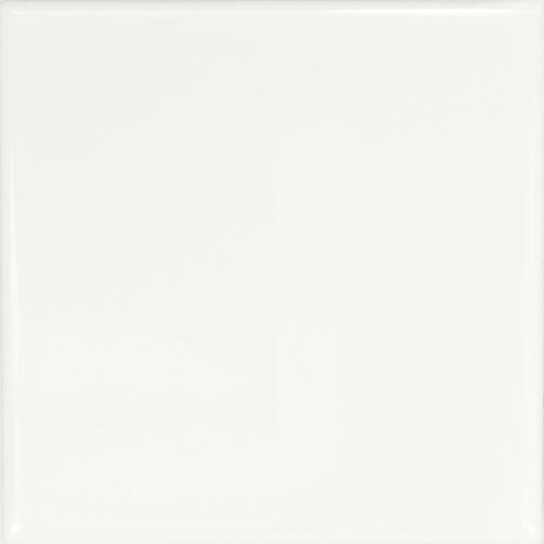 10101609_front-a