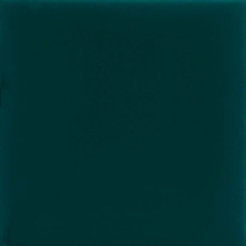 1010854001 verde nero