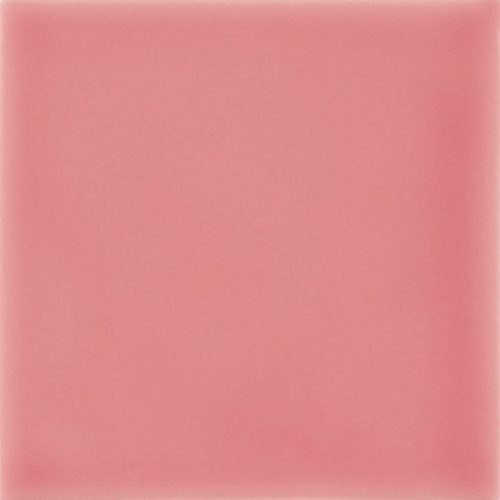101085410G rosa clara