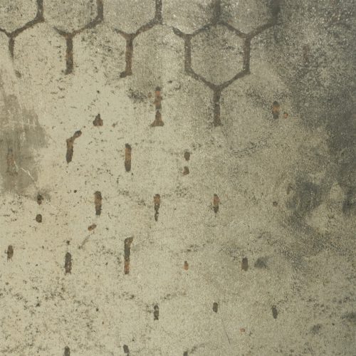 20204462_front-a